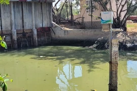 Nước kênh Rạch Bà, thành phố Vũng Tàu) ngày càng ô nhiễm nghiêm trọng. (Ảnh: Hoàng Nhị/TTXVN)