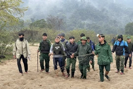 Công an phối hợp lực lượng Bộ đội Biên phòng tỉnh Hà Tĩnh bắt giữ đối tượng Nguyễn Hồng Sơn, thu giữ 25.600 viên hồng phiến, nhiều loại ma túy, súng và đạn. (Ảnh: TTXVN phát)