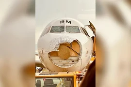 Mặt trước của máy bay hư hỏng nặng nhưng vẫn hạ cánh an toàn. (Nguồn: Fox News)