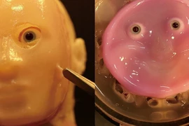 Khuôn mặt robot 2D (phải) được bao phủ bởi lớp da từ tế bào người với nụ cười "khá dị." (Ảnh do Shoji Takeuchi, Giáo sư tại Đại học Tokyo cung cấp)