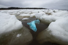 Túi nylon trôi dạt vào Vịnh Botnia ở gần Pietarsaari vào cuối mùa Xuân khi băng trên biển đang tan chảy, ngày 3/5/2023. (Ảnh: AFP/TTXVN)