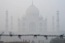 Khói mù ô nhiễm bao phủ dày đặc tại Agra, Ấn Độ, ngày 7/11/2023. (Ảnh: AFP/TTXVN)