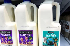Công ty của Australia sản xuất “sữa sinh thái” từ những con bò ăn rong biển
