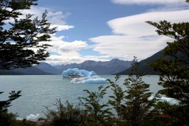 Một tàu du lịch đưa du khách tham quan những tảng băng khổng lồ tách ra từ sông băng Perito Moreno tạo nên cảnh quan vô cùng bắt mắt ở khu vực bán đảo Magallanes, miền Nam Argentina. (Ảnh: Phạm Hoài Nam/TTXVN)