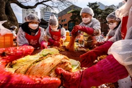 Người dân làm kim chi tại Seoul, Hàn Quốc ngày 2/12/2021. (Ảnh: AFP/TTXVN)