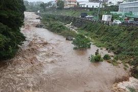 Một dòng suối ở Jeju nước dâng cao do mưa lớn ngày 1/11. (ẢNh: Yonhap)