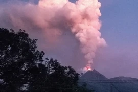 Cột tro bụi phun lên từ núi lửa Lewotobi Laki-laki tại Flores Timur, tỉnh Đông Nusa Tenggara, Indonesia, ngày 11/1/2024. (Ảnh: AFP/TTXVN)