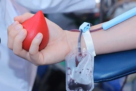 Tính đến 14h ngày 20/2, hơn 2500 đơn vị máu đã được hiến tặng trong Lễ hội Xuân hồng. (Ảnh: Hoàng Hiếu/TTXVN)