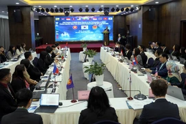Quang cảnh Hội nghị Chuyển đổi quy tắc cụ thể mặt hàng trong khuôn khổ AKFTA ở Quảng Ninh:. (Ảnh: Đức Hiếu/TTXVN)
