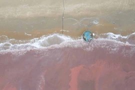 Nước biển ở Thiên Cầm (Hà Tĩnh) có màu đỏ là do tảo nở hoa. (Nguồn: Cổng Thông tin Điện tử tỉnh Hà Tĩnh)