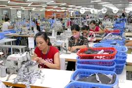 Dây chuyền sản xuất hàng may mặc xuất khẩu của Công TNHH Thời trang STAR, vốn đầu tư của Singapore, tại Khu công nghiệp Phú Nghĩa (huyện Chương Mỹ, Hà Nội). (Ảnh: Danh Lam/TTXVN)