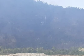 Khu vực cháy rừng trên núi Cô Tô đã được khống chế. (Ảnh: TTXVN phát)