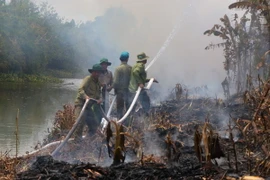 Lực lượng chức năng ở Hậu Giang triển khai thực tập chữa cháy rừng. (Ảnh: Duy Khương /TTXVN)