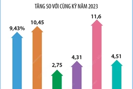 GRDP 6 tháng năm 2024 của tỉnh Ninh Bình ước tăng 8,19% 