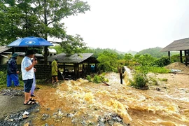 Lãnh đạo huyện Vị Xuyên, tỉnh Hà Giang kiểm tra các điểm ngập úng, sạt lở trên địa bàn. (Ảnh: Quỳnh Anh/TTXVN phát)