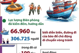 Kiểm đếm, hướng dẫn 66.960 tàu trên biển về hướng di chuyển của bão số 4 