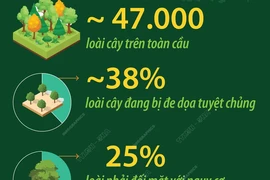 Nhiều loài cây trên toàn cầu đứng trước nguy cơ tuyệt chủng 