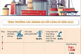 Chỉ số sản xuất toàn ngành công nghiệp 10 tháng năm 2024 của cả nước tăng 8,3%