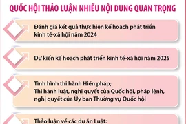 Một số điểm nhấn nổi bật của đợt 1, Kỳ họp thứ 8, Quốc hội khóa XV 