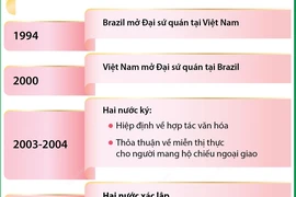 Tổng quan về quan hệ Đối tác chiến lược giữa Việt Nam và Brazil 