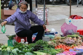 Giá lương thực, thực phẩm tiếp tục gia tăng do ảnh hưởng bởi mưa bão. (Ảnh: Vietnam+)