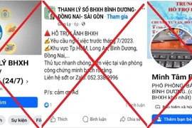 Bảo hiểm Xã hội Việt Nam thông tin cảnh báo các trang giả mạo. (Ảnh: PV/Vietnam+)