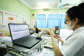 Nhân viên y tế theo dõi các thông số quản lý bệnh nhân trên máy tính. (Ảnh: Minh Quyết/TTXVN)