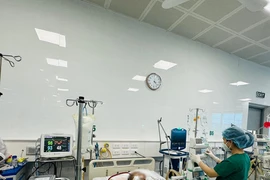 Bệnh nhân mắc cúm B trong tình trạng nặng đang điều trị tại Bệnh viện bệnh Nhiệt đới Trung ương.(Ảnh: PV/Vietnam+)