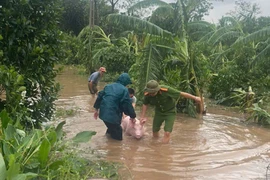 Lực lượng chức năng cùng nhân dân hỗ trợ di dời gia súc trong vùng bị ngập lụt. (Ảnh: TTXVN phát)