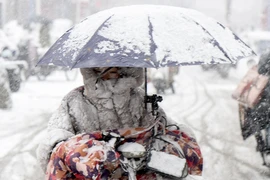 Hình ảnh đợt lạnh sâu, tuyết rơi dày đặc tại Trung Quốc
