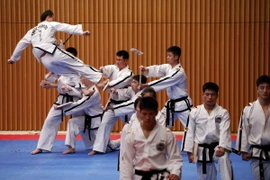 Các vận động viên taekwondo của Triều Tiên tham gia màn biểu diễn chung với các vận động viên taekwondo Hàn Quốc bên lề Thế vận hội mùa đông Olympic Pyeongchang, Hàn Quốc ngày 12/2/2018. (Ảnh: AFP/TTXVN)