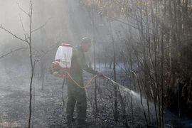 Cán bộ, chiến sỹ Đồn Biên phòng Xà Lực tham gia chữa cháy rừng trên đảo Phú Quốc. (Ảnh: TTXVN phát)