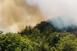 Đám cháy ở đỉnh cao 2.000m nằm trên địa giới hành chính của xã Lao Chải (huyện Vị Xuyên) trong rừng đặc dụng Tây Côn Lĩnh. (Nguồn: Báo Hà Giang)