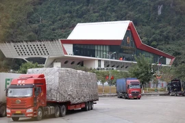 Phương tiện hàng hóa chờ thủ tục xuất nhập khẩu tại cửa khẩu quốc tế Hữu Nghị (Lạng Sơn). (Ảnh: Quang Duy/TTXVN)