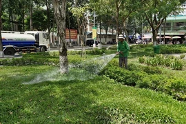 Chăm sóc cây xanh tại công viên Hùng Vương, quận Ninh Kiều, thành phố Cần Thơ.