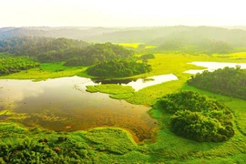 Bàu Sấu Vườn Quốc gia Cát Tiên là nơi lưu giữ nhiều quần thể động vật hoang dã quý hiếm. (Nguồn: Báo Lâm Đồng)