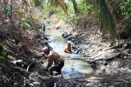 Người dân dọn dẹp chướng ngại vật dưới lòng kênh nội đồng để trữ nước ngọt. (Ảnh: Hữu Chí/TTXVN)