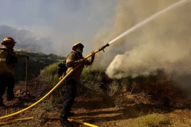 Lực lượng cứu hỏa nỗ lực dập lửa cháy rừng tại Gorman, California, Mỹ. (Ảnh: THX/TTXVN)