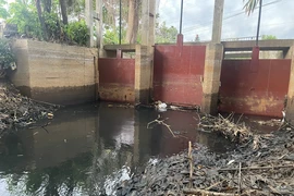 Nước xả thải của Công ty TNHH Kbec Vina xả ra suối Giao Kèo, thị xã Phú Mỹ vào ngày 30/5. (Ảnh: Hoàng Nhị/TTXVN)