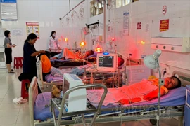 Các bệnh nhân điều trị tại Khoa Hồi sức cấp cứu chống độc, Trung tâm Y tế huyện Đắk R'lấp. (Nguồn: Báo Đắk Nông)