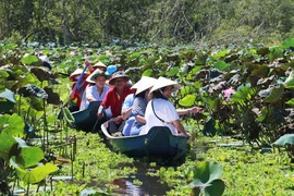 Khu du lịch rừng tràm Trà Sư (thị xã Tịnh Biên, An Giang) thu hút đông du khách đến tham quan, trải nghiệm. (Ảnh: Công Mạo/TTXVN)