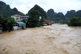 Nước sông Thương chảy qua địa bàn huyện Chi Lăng, tỉnh Lạng Sơn dâng cao, đục ngầu, chảy rất mạnh. (Ảnh: Văn Đạt/TTXVN)