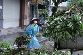 Công nhân Công ty cổ phần môi trường Nam Định dọn dẹp cây cối bị đổ tại chân cầu Đò Quan, thành phố Nam Định. (Ảnh: Công Luật/TTXVN)