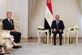 Ngoại trưởng Mỹ Antony Blinken (trái) hội kiến Tổng thống Ai Cập Abdel Fattah el-Sisi tại El-Alamein, Ai Cập. (Ảnh: Getty Images/TTXVN)