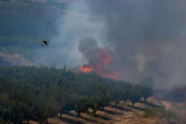 Khói lửa bốc lên sau cuộc tấn công của lực lượng Hezbollah tại Liban xuống miền Bắc Israel ngày 17/8. (Ảnh: THX/TTXVN)