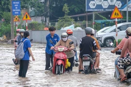 Nước ngập trên đường Cách Mạng Tháng Tám, quận Bình Thủy, Cần Thơ, trong đợt triều cường đầu tháng 9 âm lịch (ngày 6/10). (Ảnh: Thanh Liêm/TTXVN)