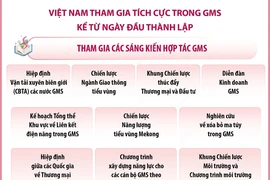 Hợp tác kinh tế tiểu vùng Mekong mở rộng và sự tham gia của Việt Nam