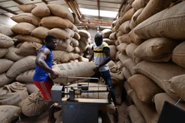 Kho chứa ca cao tại M'brimbo, Cotê d'Ivoire (Bờ Biển Ngà). (Ảnh: AFP/TTXVN)