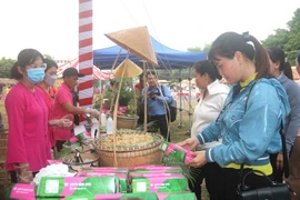 Người dân trải nghiệm các gian hàng ẩm thực Nam Bộ tại Liên hoan ẩm thực Nam bộ tỉnh Trà Vinh năm 2023. (Ảnh: Thanh Hòa/TTXVN)