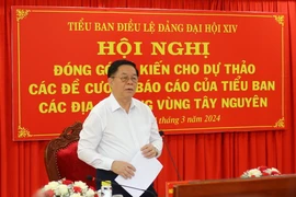 Ông Nguyễn Trọng Nghĩa, Bí thư Trung ương Đảng, Trưởng Ban Tuyên giáo Trung ương phát biểu tại Hội nghị. (Ảnh: Hồng Điệp/TTXVN)